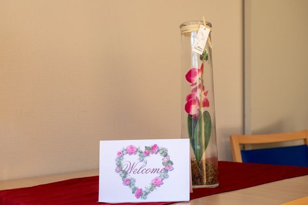 Residentie Hortensia
