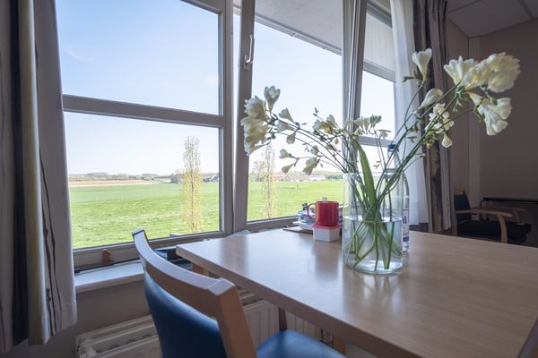 Residentie Hortensia